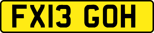 FX13GOH
