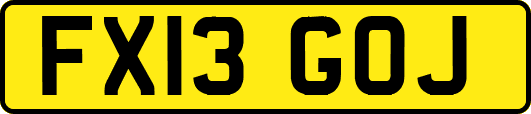 FX13GOJ