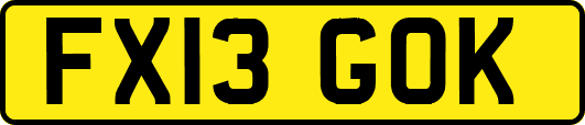 FX13GOK