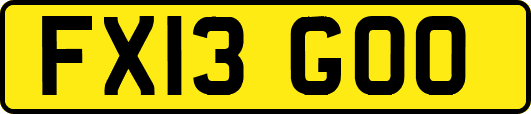 FX13GOO