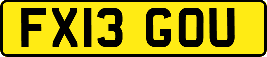 FX13GOU