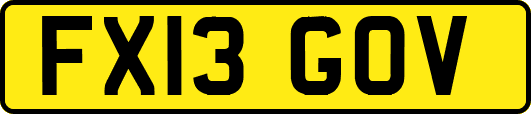 FX13GOV