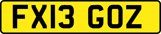FX13GOZ