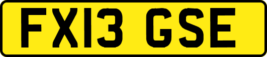 FX13GSE