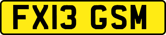 FX13GSM