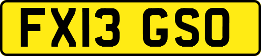 FX13GSO