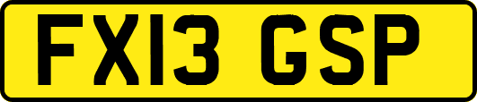 FX13GSP