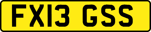 FX13GSS