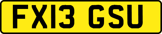 FX13GSU