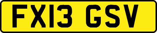 FX13GSV