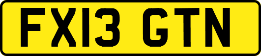 FX13GTN
