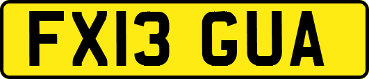 FX13GUA