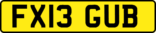 FX13GUB