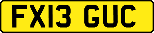 FX13GUC