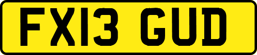 FX13GUD