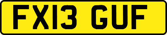 FX13GUF