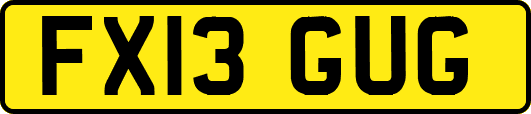 FX13GUG
