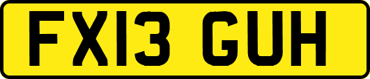 FX13GUH