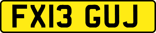 FX13GUJ