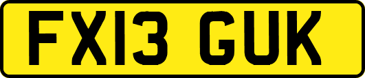FX13GUK