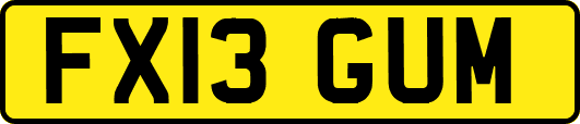 FX13GUM