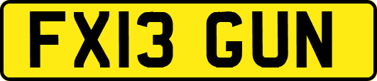 FX13GUN