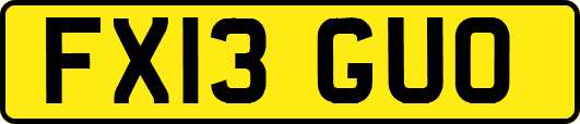 FX13GUO