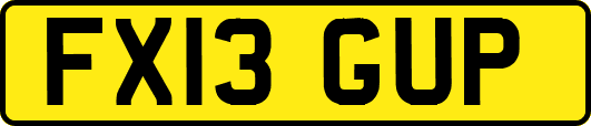 FX13GUP