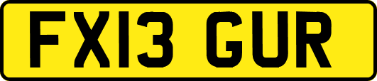 FX13GUR