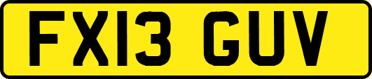 FX13GUV