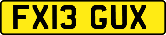 FX13GUX