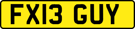 FX13GUY