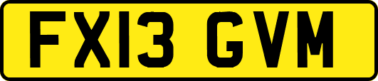 FX13GVM