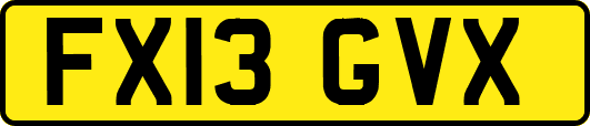 FX13GVX