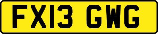 FX13GWG
