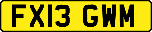 FX13GWM