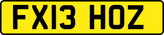 FX13HOZ