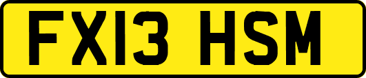 FX13HSM