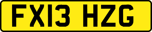 FX13HZG