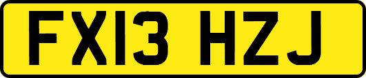 FX13HZJ