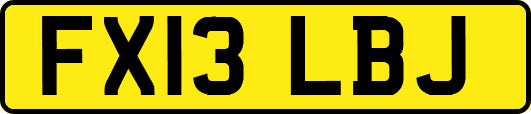 FX13LBJ
