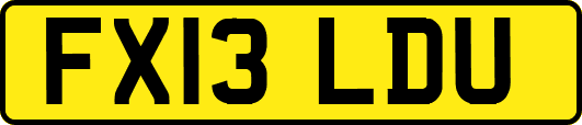 FX13LDU