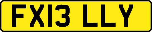 FX13LLY