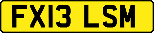 FX13LSM