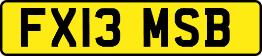 FX13MSB