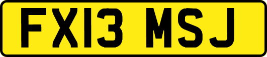 FX13MSJ
