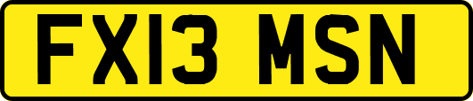 FX13MSN