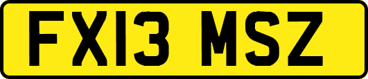 FX13MSZ