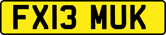 FX13MUK