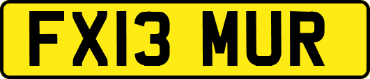 FX13MUR